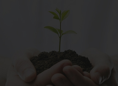 中国·8463永利皇宫(集团)有限公司-官方网站